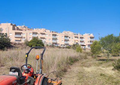 Limpieza de terrenos antes de proyectos agrícolas en Creixell
