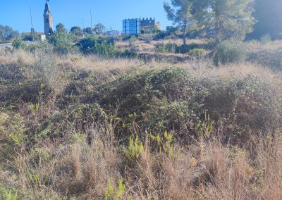 Limpieza de terrenos urbanos y rurales en Creixell