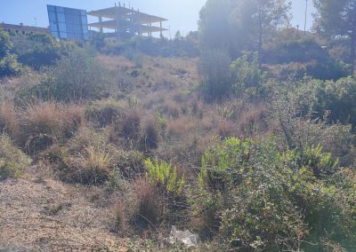 Desbroce de fincas y jardines en Creixell