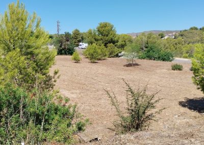 Limpieza de parcelas agrícolas con desbroce en Creixell