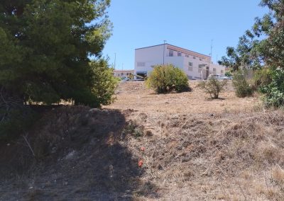 Mantenimiento de terrenos y parcelas con desbroce en Creixell