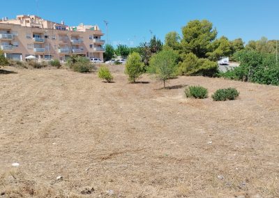Desbroce para prevención de incendios en Creixell