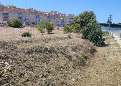 Eliminación de maleza en terrenos de Creixell