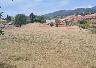 Desbroces especializados para prevención de incendios en Vicençmontalt Riera