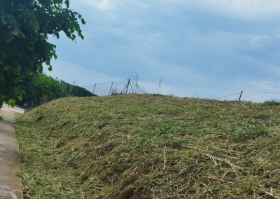 Eliminación de maleza y mantenimiento de terrenos en Vicençmontalt Riera