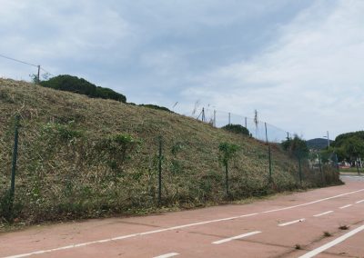 Limpieza de parcelas y desbroces eficientes en Vicençmontalt Riera