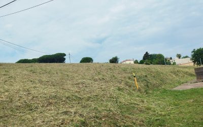 Desbroce en Vicençmontalt Riera