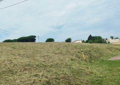 Servicio profesional de desbroces en Vicençmontalt Riera para terrenos rurales y urbanos