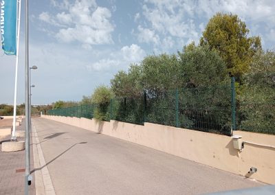 Servicio de desbroce para terrenos grandes en Peñíscola