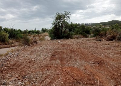 Limpieza de parcelas pequeñas con desbroce en Peñíscola