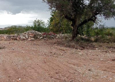 Servicios de desbroce y mantenimiento de terrenos en Peñíscola