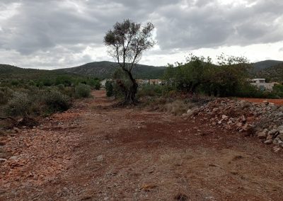 Desbroce de parcelas agrícolas y rurales en Peñíscola