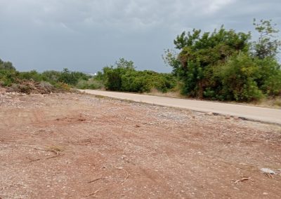 Servicio de desbroce para zonas urbanizadas en Peñíscola