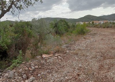 Eliminación de hierbas para prevención de incendios en Peñíscola