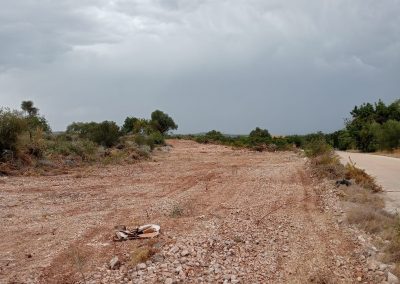 Desbroces de alta calidad en Peñíscola