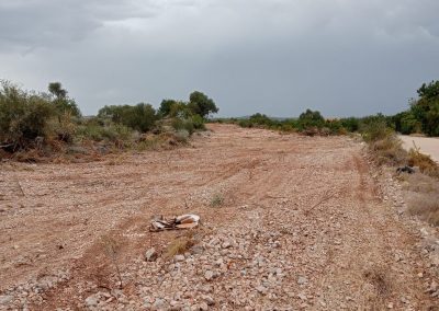 Desbroces especializados en terrenos inclinados de Peñíscola