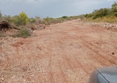 Mantenimiento de parcelas con desbroce en Peñíscola