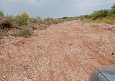 Desbroces para limpieza de caminos en Peñíscola
