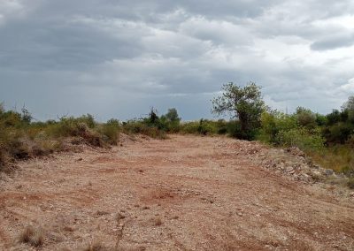 Desbroce seguro y eficiente en Peñíscola