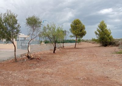 Preparación de parcelas para construcción en Peñíscola