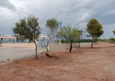 Servicios de desbroce profesional en Peñíscola