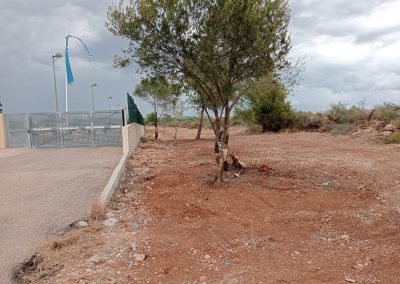 Desbroce de maleza para mejorar terrenos en Peñíscola