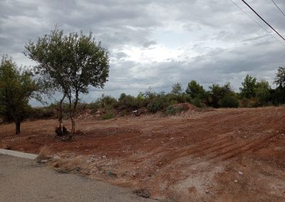 Especialistas en desbroces de terrenos en Peñíscola