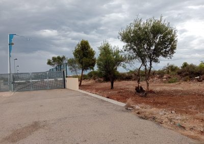 Desbroces económicos y rápidos en Peñíscola