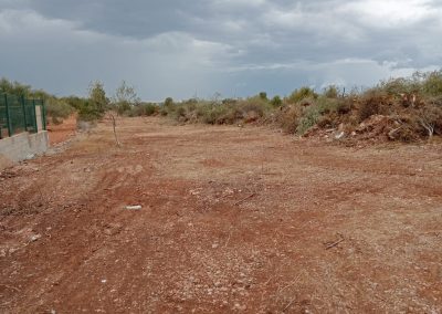 Eliminación de maleza con desbroce en Peñíscola
