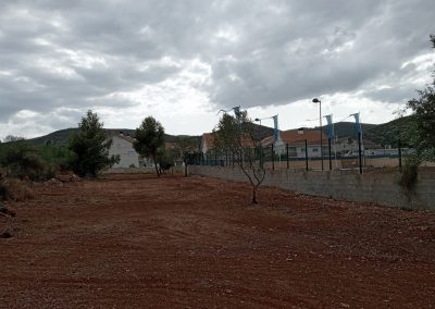 Desbroce eficiente para parcelas en Peñíscola