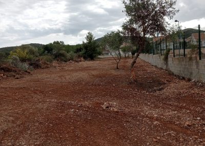Limpieza y desbroces profesionales en Peñíscola