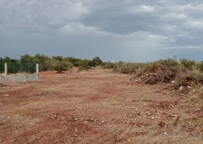 Servicio de desbroces en Peñíscola para terrenos rurales