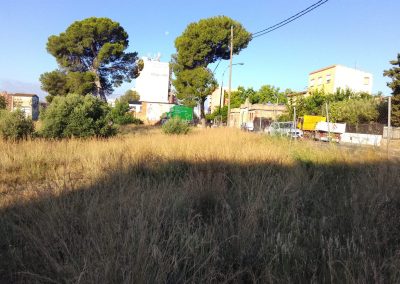 Servicio de desbroce en Reus para acondicionar terrenos agrícolas y forestales