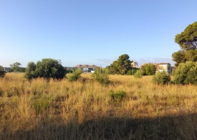 Desbroce de espacios naturales en Reus para protección del medio ambiente