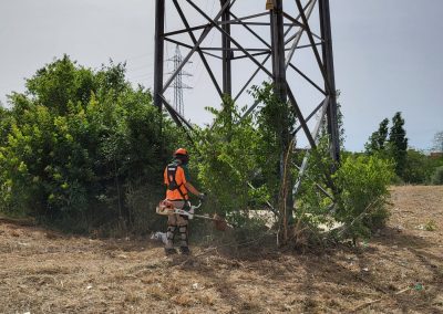 Mantenimiento de fincas en Reus con servicios de desbroce completos