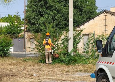 Desbroce de áreas verdes en Reus con enfoque en la sostenibilidad