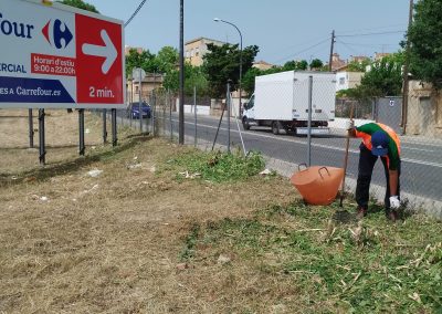 Preparación de terrenos en Reus para proyectos de jardinería y paisajismo