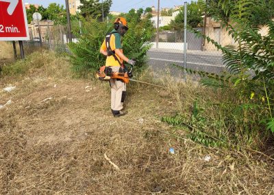 Desbroce agrícola en Reus para mejorar la productividad del suelo