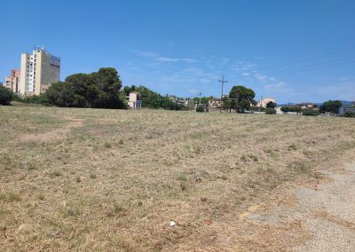Limpieza de terrenos en Reus para construcción y acondicionamiento de espacios