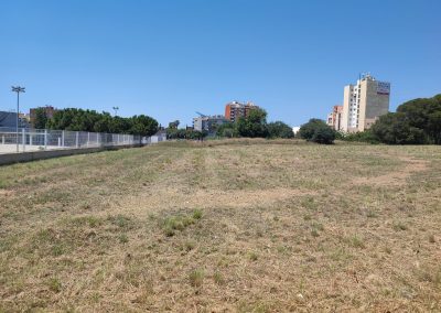 Mantenimiento forestal en Reus con servicios de desbroce especializados