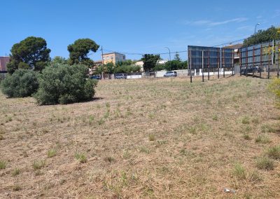 Limpieza de parcelas en Reus para proyectos agrícolas y urbanos