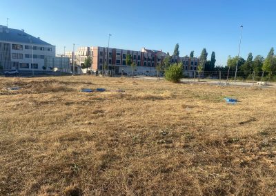 Recuperación de terrenos abandonados en Segovia con servicios de desbroce especializados