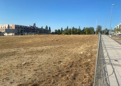 Limpieza de caminos y senderos en Segovia: desbroce seguro y respetuoso con el medio ambiente