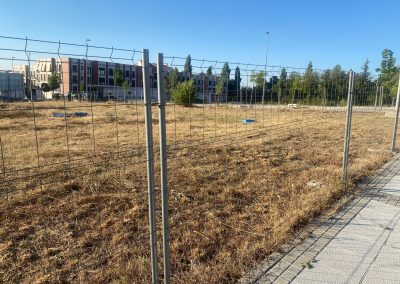 Trabajos de desbroce en Segovia para prevención de incendios y recuperación de terrenos.