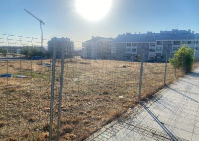 Limpieza de maleza en fincas rústicas en Segovia: servicios rápidos y económicos.