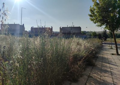 Desbroce de terrenos en Salamanca para prevención de riesgos ambientales