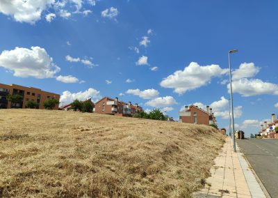 Desbroce de espacios naturales en Salamanca para protección ambiental