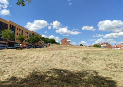 Limpieza de áreas verdes en Salamanca con enfoque en la sostenibilidad