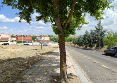 Preparación de terrenos en Salamanca con trabajos de desbroce personalizados