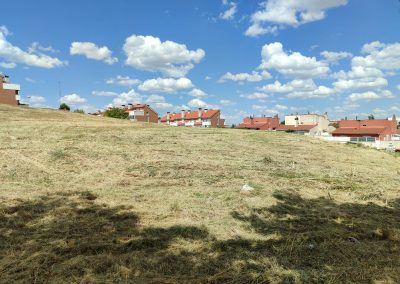 Limpieza de terrenos en Salamanca para acondicionamiento de espacios verdes